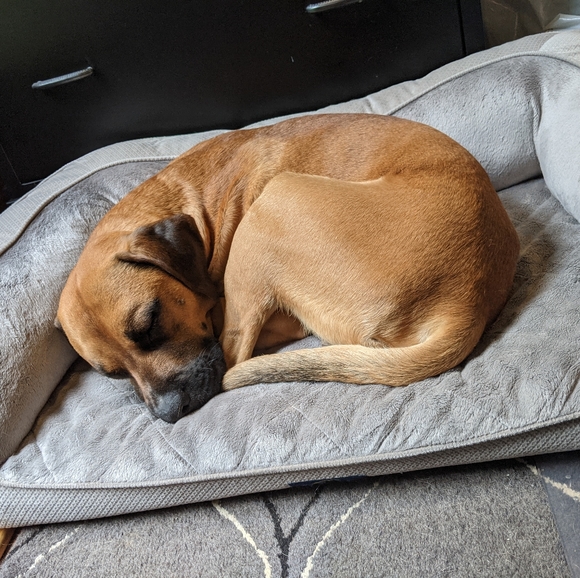 PRINCESS POLLY Silver Earring Pack - Picture 6 of 6